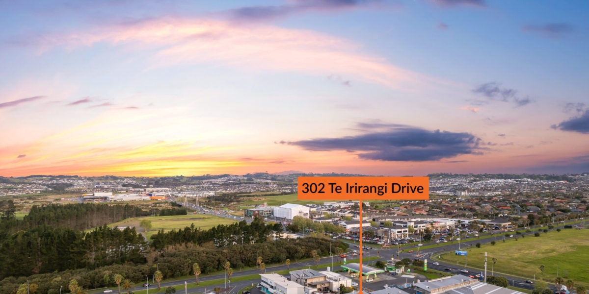 302 Te Irirangi Drive, Flat Bush, Auckland  New Zealand