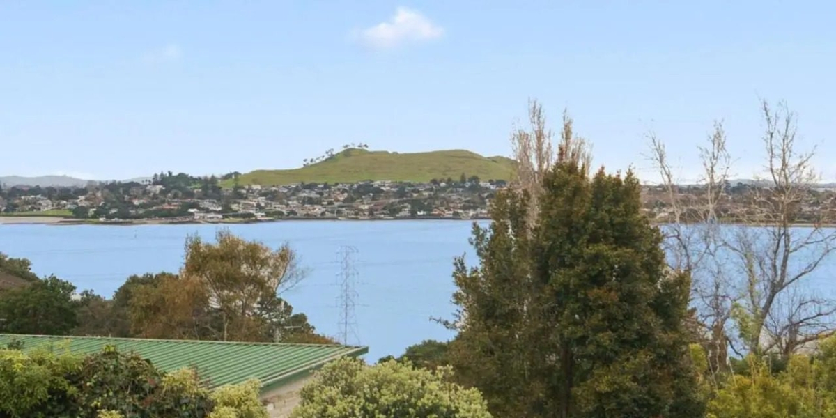 110 Carlton Street, Hillsborough,   NZ