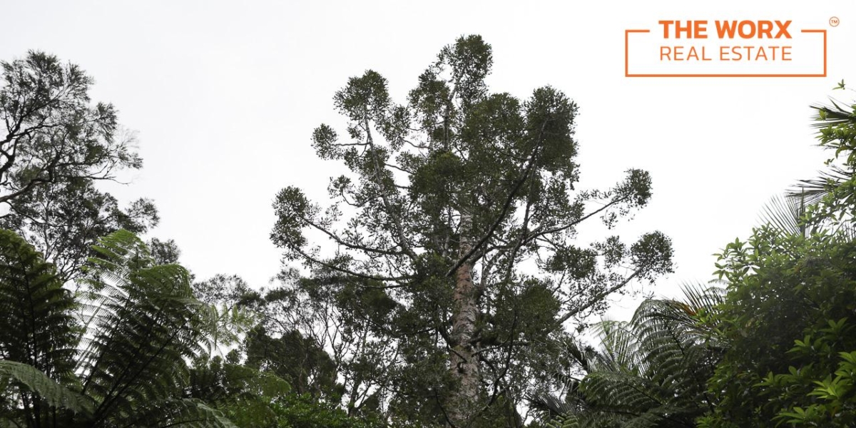 103 Laingholm Drive, Laingholm, Auckland 0604 NZ