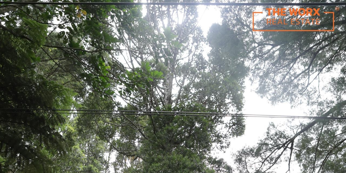 103 Laingholm Drive, Laingholm, Auckland 0604 NZ