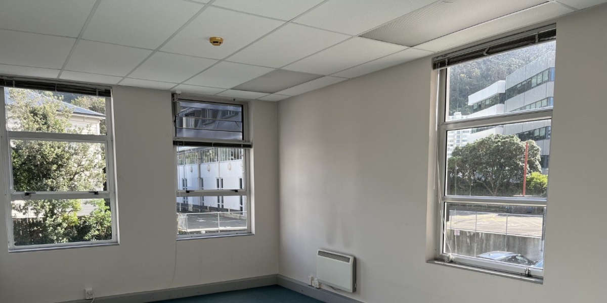Level 1/101 Molesworth Street, Thorndon,   NZ