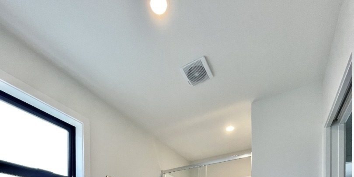 2 Te Ara O Ralph Olsen, Wainuiomata,   NZ