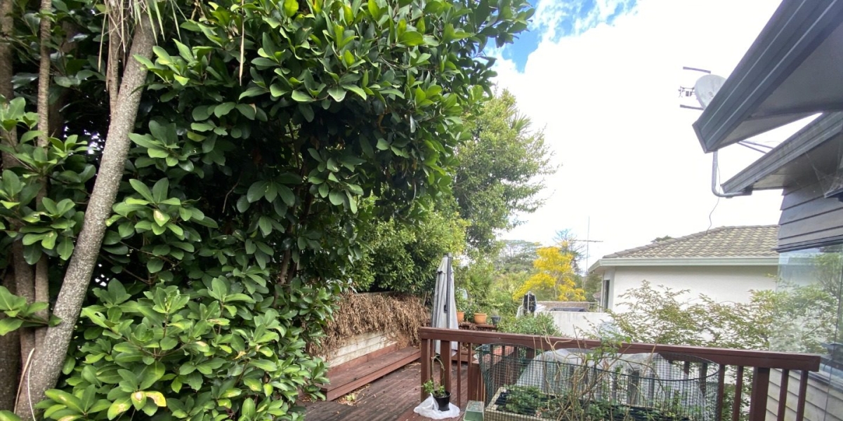 18 Bush View lane, Northcote,   NZ