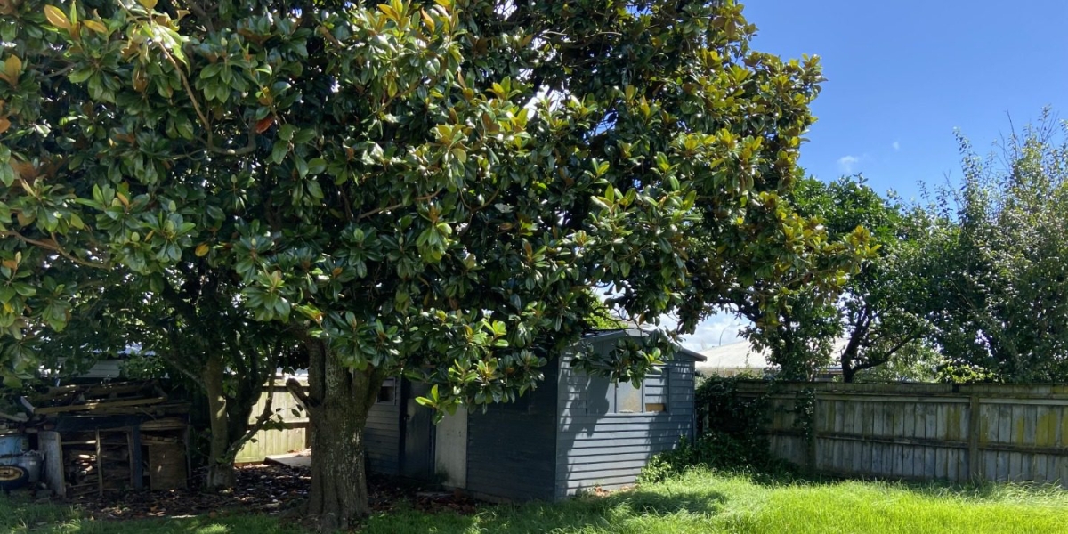 27 Royal Arch Place, Rosehill,   NZ