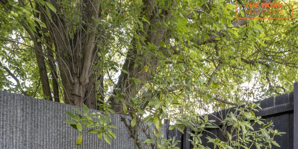 15A Thornton Street, Mairehau, Canterbury 8013 NZ